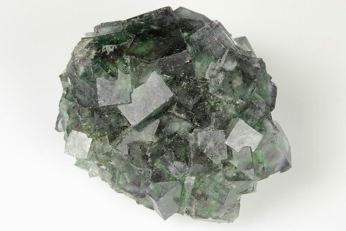 Green Cubic Fluorite Cluster With Purple Edges - Okorusu Mine #191985